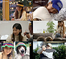 tvN '캐나다 체크인' 이효리, 제주→캐나다 입양 강아지 만남