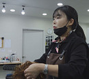 부천 맞춤형 가발 제작 '서민갑부', 연 매출 20억 원 달성 비결은?