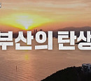 '더 데이즈: 부산의 탄생', 2030세계박람회 엑스포 개최 후보지 부산 역사 조명