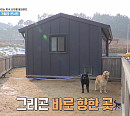 '1박 2일' 딘딘, 촬영지 고창 상하농원 양떼목장서 리트리버들과 '개릴라 콘서트'