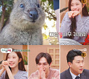 시그니처 채솔, '다시갈지도' 출연…러블리 활약 '기대 UP'