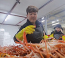포항 대게 온라인 택배 주문&생물 배송 ‘서민갑부' 연 매출 30억 원 비결은?