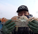 영덕 대게ㆍ양식 장어 작업자들의 고된 노력(극한직업)