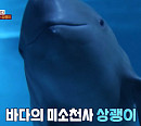 '동물농장' 상괭이 지킴이 이영란 해양동물 수의사 "상괭이도 웃고 우리도 웃었으면 좋겠다"
