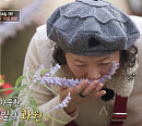 평창 청년 간장게장 맛집ㆍ메밀 음식 식당ㆍ진부전통시장ㆍ봉평 허브농원, 봄 맞이 여행 떠난다(고두심이 좋아서)