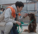 유연석, 유기견 보호소 입양 프로필 위한 일일 포토그래퍼 변신…티모 향한 진심(TV동물농장)
