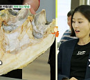 이현이, 식객 허영만과 백반기행…충남 태안 우럭 젓국 밥상ㆍ바지락 칼국수ㆍ게국지 등 맛본다
