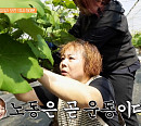 '건강면세점' 이경애, 딸과 함께 출연…포도밭→염소 농장 노동 다이어트 비법