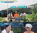 '살림남' 이천수, '효도 투어 in 홍천' 인삼밭 체험→한방 삼계탕 '힐링'