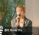 SLL, ‘고고씽’으로 글로벌 음악 채널 겨냥…다채로운 라이브 콘텐츠 공개