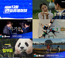 웨이브, ‘태어난 김에 세계일주’ 시즌3→‘고레에다 히로카즈’ 감독 모음전 등 12월 신작 라인업