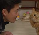 김포 '품위있는주택'ㆍ'지층을누려봐'ㆍ'초록뷰를ㄱ해'ㆍ고양 '싱숭샹송하우스' 매물 소개(구해줘홈즈)