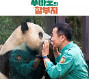 SBS 편성표, '연기대상'ㆍ'가요대전' 대신 송년특집 '푸바오와 할부지' 편성
