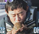 '도시어부5' 통영 문어 낚시 대결…황금배지의 주인공은?