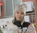 르세라핌 김채원ㆍ허윤진ㆍ카즈하ㆍ사쿠라ㆍ홍은채, 반려견 ‘시로’와 카페 나들이…인삼 죽염ㆍ공진단 등 건강식품 공개