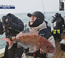 '도시어부 시즌5' 추자도 절명여 출격…대물 참돔 낚시 도전