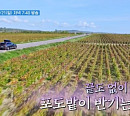 '텐트밖은유럽4-남프랑스' 한가인 등 여자 출연진, 스위스 레만 호수→'와인 성지' 부르고뉴 입성