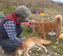 'TV동물농장' 반려견 황도 달래의 특별한 ‘황도 라이프’
