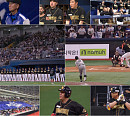 '최강야구', 최강몬스터즈 vs 강릉영동대 복수전…부산 롯데 직관 경기 직전 만난 막강 상대