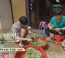 임영웅 게스트 출연 예고 '삼시세끼 라이트', 9월 20일 첫 방송