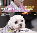 '동물은 훌륭하다' 진성, 반려견 '보리'와 겨울 여행…정성 가득 펫시피 공개