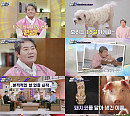 '동물은 훌륭하다' 진성, "반려견 보리 덕분에 건강 되찾아"
