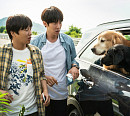KBS 영화 '멍뭉이' 편성, 강아지와 동행 결말까지 감동 MAX