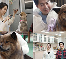 '너희가 똥개를 아느냐' 김재우 & 조유리 부부 집 찾아간 똥개와 조우