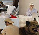 전진 & 류이서 부부 울린 만세의 사연은?(너희가 똥개를 아느냐)