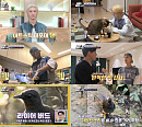 '동물은 훌륭하다' NCT 텐, 반려묘 위한 수제 간식 "엄지 척"