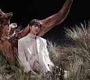 펜타곤 후이, 23일 신곡 '눈물 나게' 발매…록 발라드 고백송