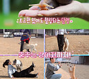 '동물은 훌륭하다' 슈거글라이더→대왕 달팽이까지…특별한 일상 공개