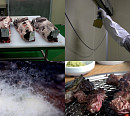 '극한직업' 천안 막걸리 공장ㆍ홍천 건식 숙성 한우ㆍ균사체 가죽 등 곰팡이의 무한 변신