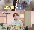 '동물은 훌륭하다', 세 발 강아지 '듀크' 메이크오버 프로젝트→수의법의학자 등장