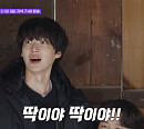 tvN '핸썸가이즈' 결방, 경북 산불 여파…'식스센스' 재방송