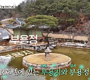 '핸썸가이즈', 오상욱 불참…봉화 만산고택·영주 한그린 목조관·안동 한옥호텔 탐방 후 송이 돌솥밥 먹방