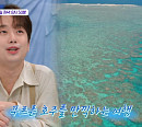 이찬원, 세계 최대 산호초 군락에 "비현실적" 감탄…'톡파원 25시' 예고