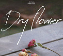 김필, 8일 새 싱글 'Dry Flower' 발매…단독 콘서트 예고