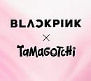 [스톡 브리핑] YG플러스, '블랙핑크 다마고치' 카카오톡 선판매