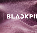 [스톡 브리핑] YG플러스, '블랙핑크 X 레이저 컬렉션' 출시