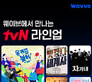 웨이브에서 '유퀴즈' 본다 tvN 콘텐츠 강화