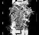 '군체', 5월 개봉 확정…연상호 감독 신작