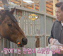 '이웃집 백만장자' 김기영 대표의 승마장 사랑
