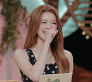 'TV 동물농장' 하츠투하츠 에이나 놀라게 한 천재 보더견 잭