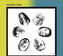 바밍타이거, ‘Gongbu’ 빌보드·NPR·NYT 등 호평 세례