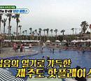 '미우새' 탁재훈, 생일 맞이 제주 비치클럽 방문