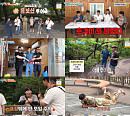 ‘1박 2일’ 태백 보양식 투어, 물닭갈비·송어·막국수 획득
