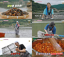 '언니네 산지직송3' 하동 섬진강 재첩→염정아표 깍두기 완성