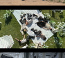 보이넥스트도어, ‘ANIMAL’ MV 공개…역동적 해방감