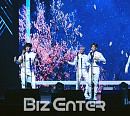 [BZ포토] 몬스타엑스, 벚꽃과 함께